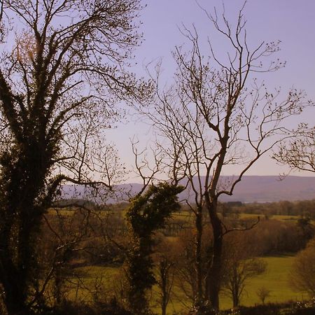 Woodview House Bed And Breakfast Ballinrobe Zewnętrze zdjęcie