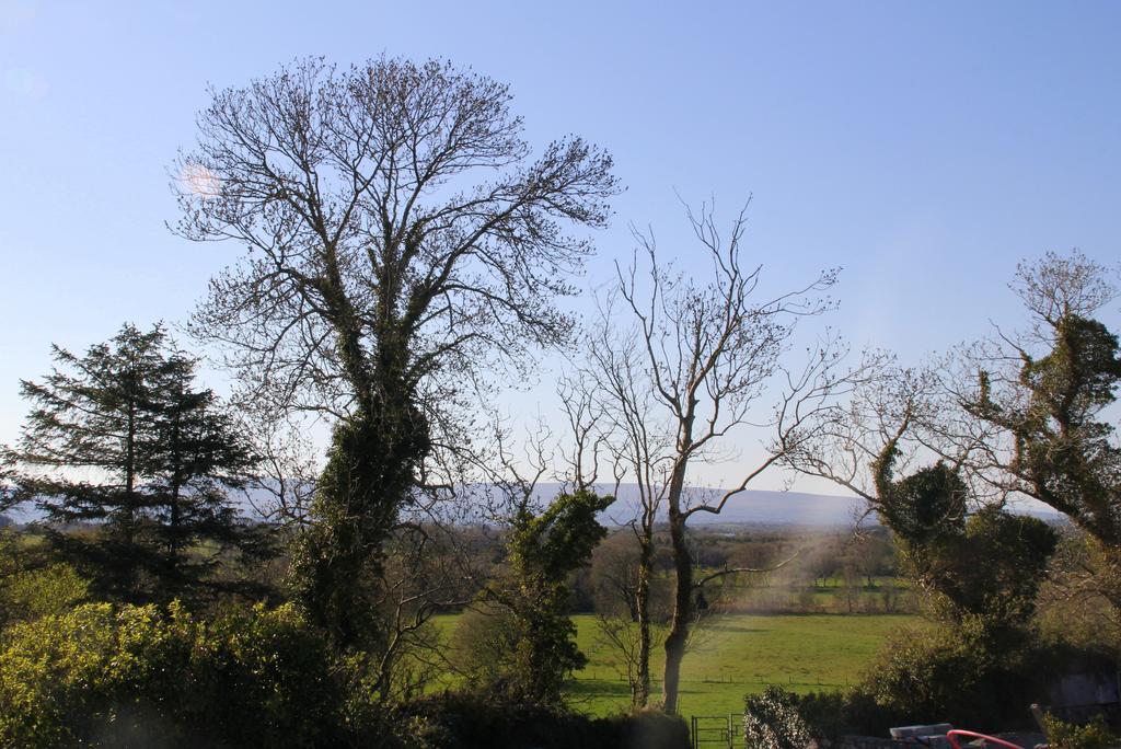 Woodview House Bed And Breakfast Ballinrobe Zewnętrze zdjęcie