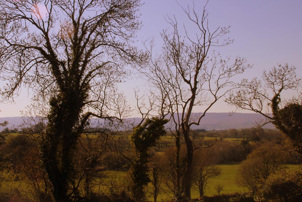 Woodview House Bed And Breakfast Ballinrobe Zewnętrze zdjęcie