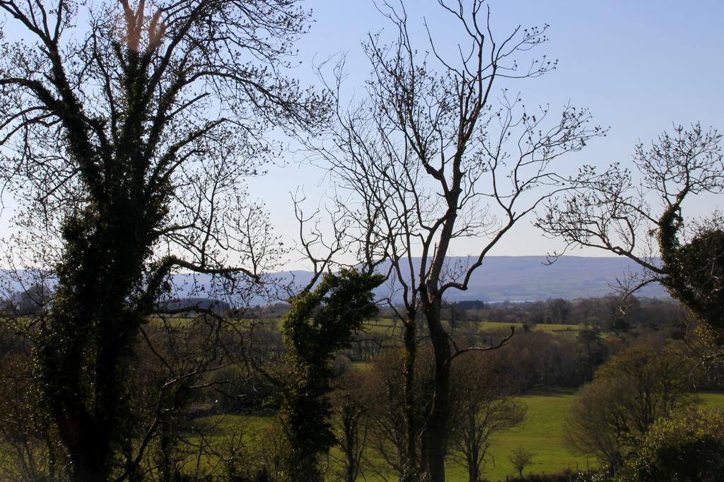 Woodview House Bed And Breakfast Ballinrobe Pokój zdjęcie